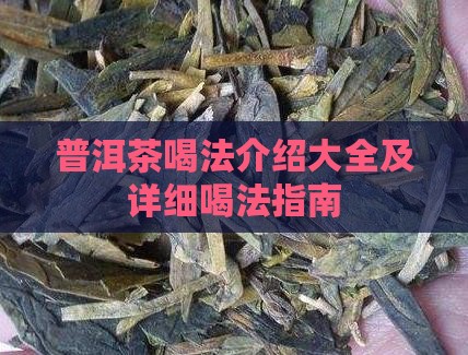 普洱茶喝法介绍