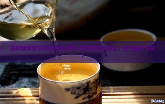 古树普洱茶没有苦涩味好吗