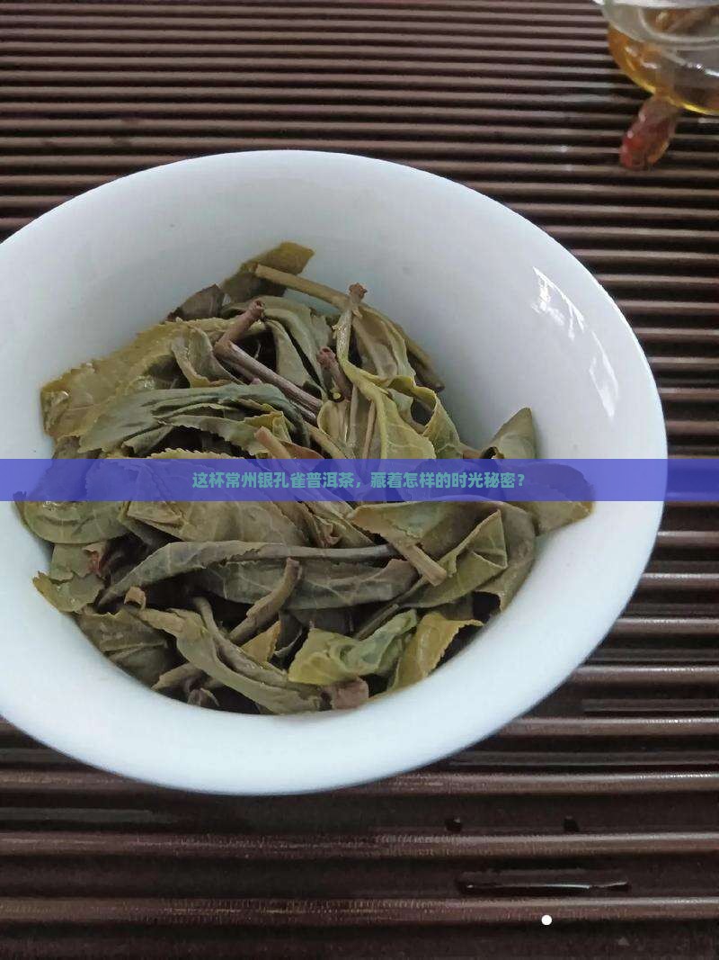 常州银孔雀普洱茶