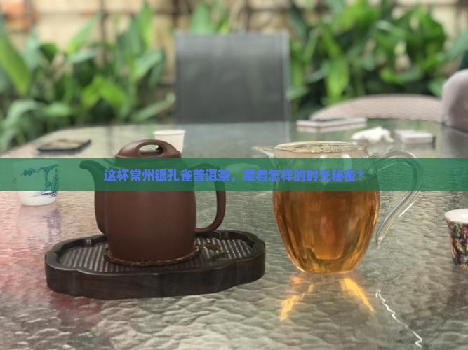 常州银孔雀普洱茶