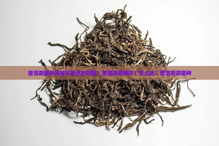 普洱茶哪种风格好看点的