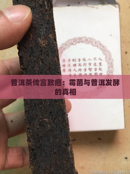普洱茶发发酵不好为致癌
