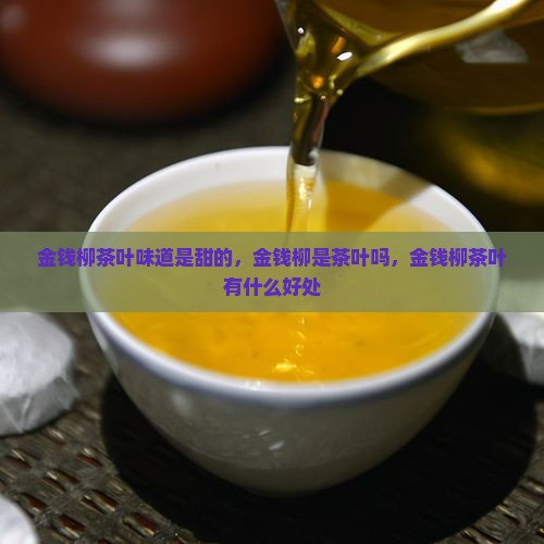 金钱柳茶叶味道是甜的