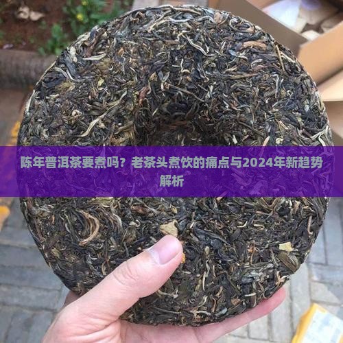 陈年普洱茶要煮吗