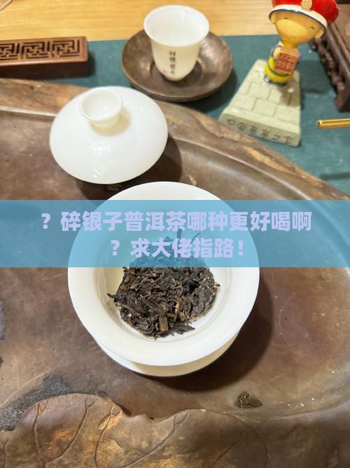 碎银子普洱茶哪种好