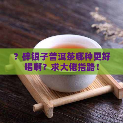 碎银子普洱茶哪种好