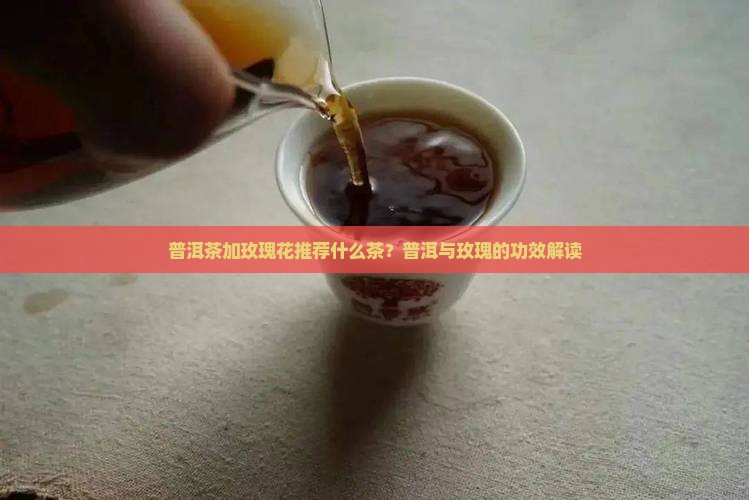 普洱茶加玫瑰花推荐什么茶