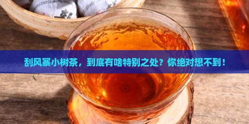 刮风寨小树茶的特点