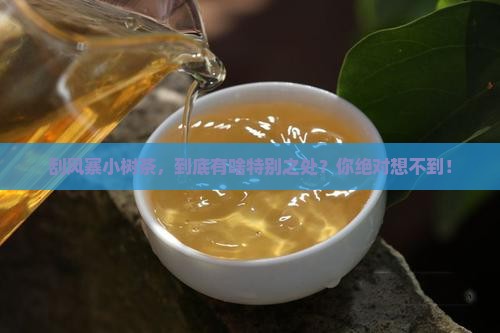 刮风寨小树茶的特点