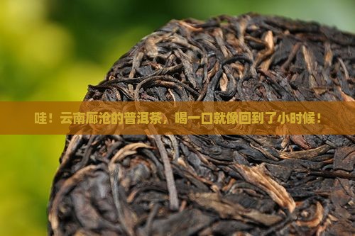 云南廊沧普洱茶