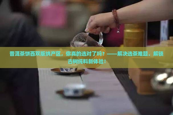 普洱茶饼西双版纳产区 普洱茶饼西双版纳产区