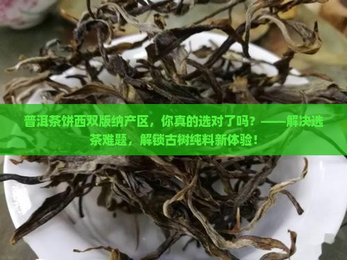 普洱茶饼西双版纳产区 普洱茶饼西双版纳产区