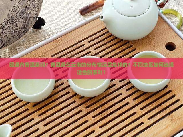 昭通有普洱茶吗