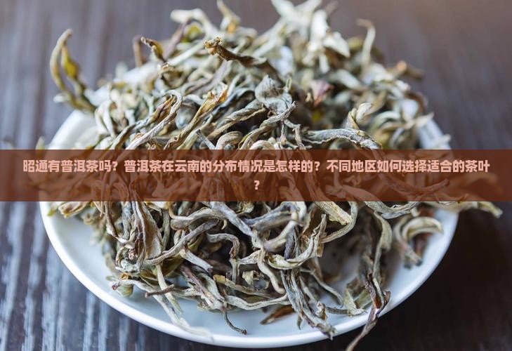 昭通有普洱茶吗