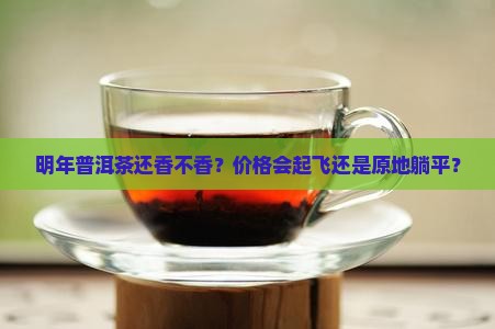 明年普洱茶走势