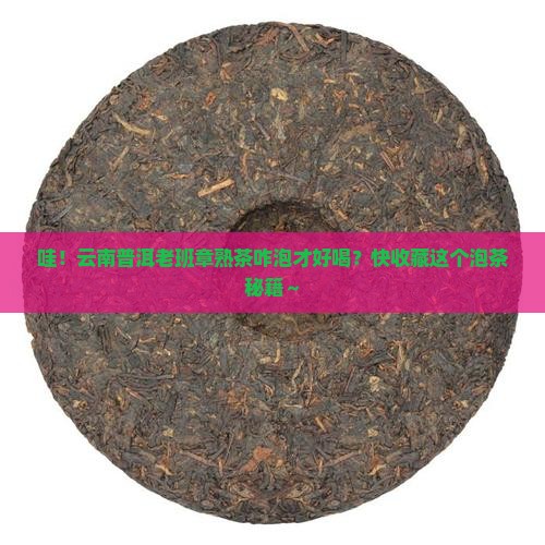 云南普洱老班章熟茶泡法