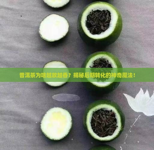 普洱茶的后期转化的原理