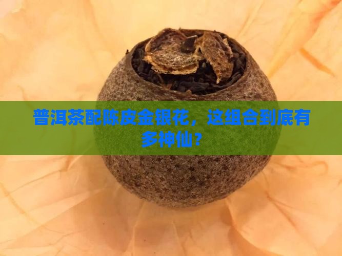 普洱茶和陈皮金银花的功效