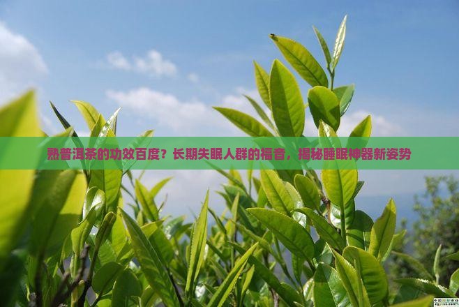 熟普洱茶的功效百度