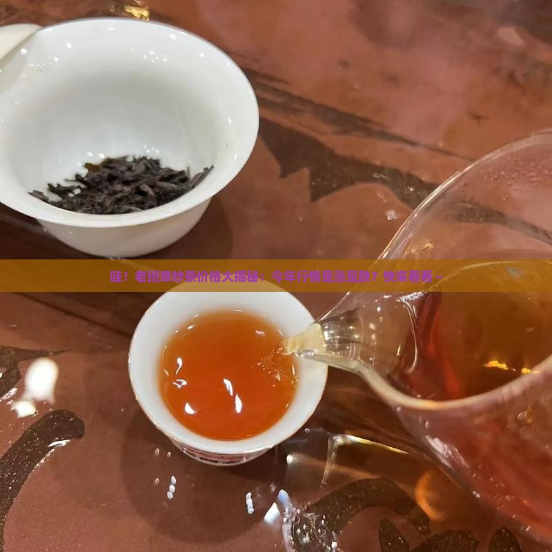 炒茶老班章价位表