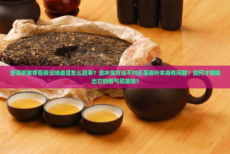 普洱茶紫芽苞茶没味道