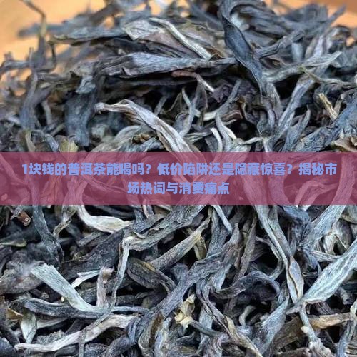 1块钱的普洱茶能喝吗请问
