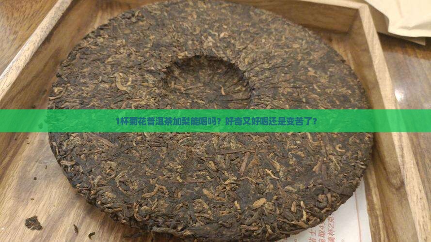 梨和菊花普洱茶一起泡可以吗 梨和菊花普洱茶一起泡可以吗
