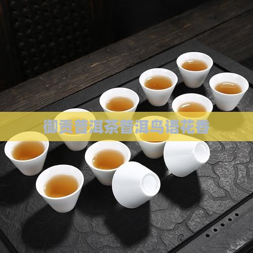 御贡普洱茶鸟语花香