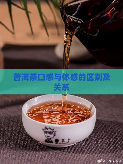 普洱茶口感与体感