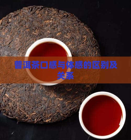 普洱茶口感与体感