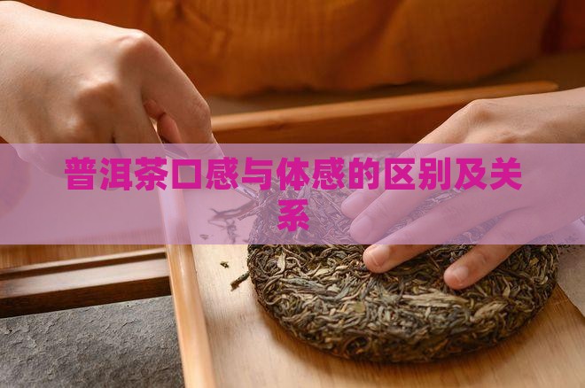 普洱茶口感与体感