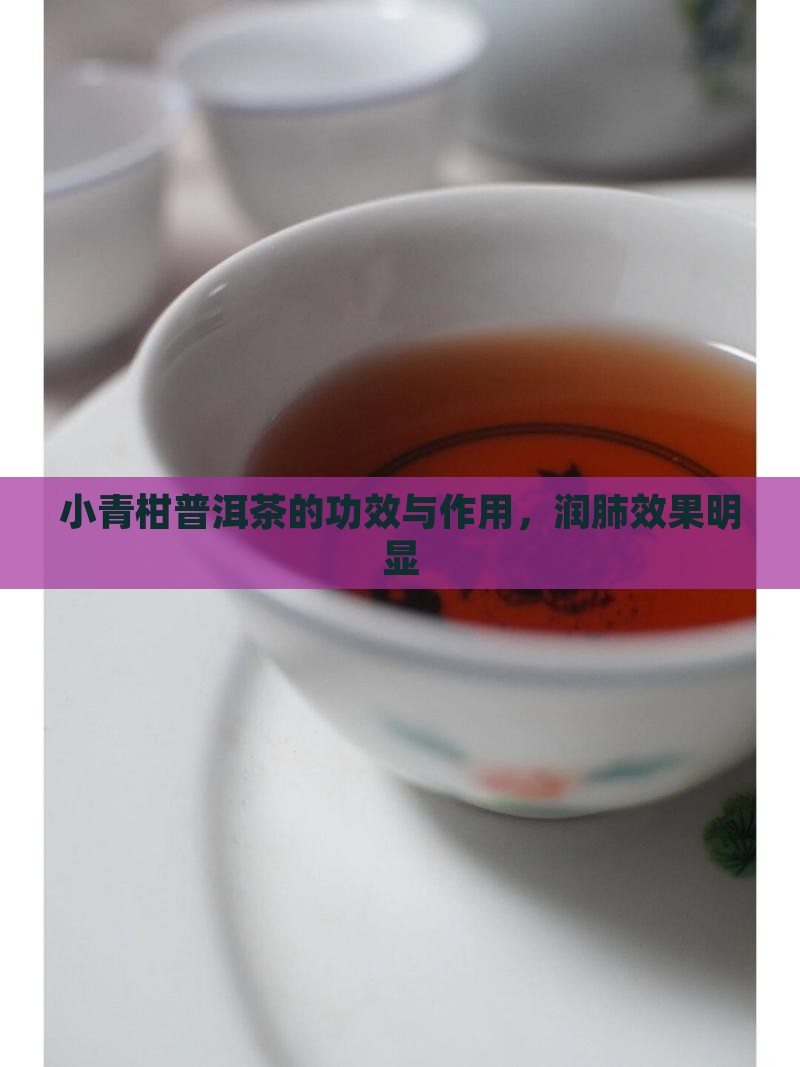 小青柑普洱茶润肺么