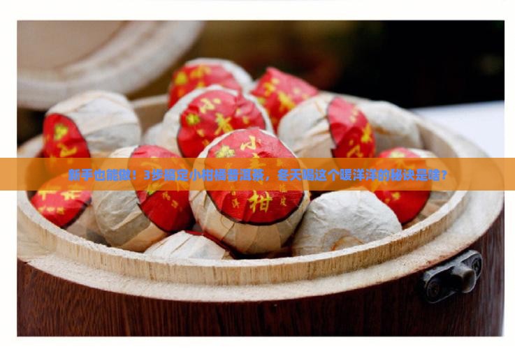 小柑橘普洱茶自制
