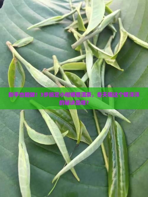 小柑橘普洱茶自制