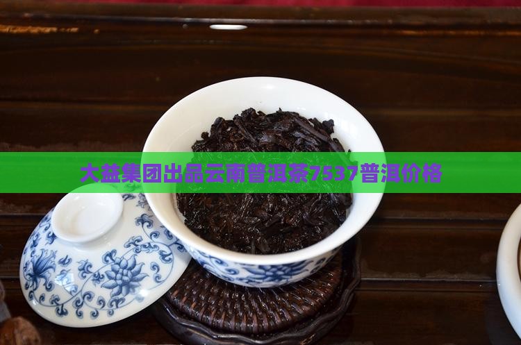 7537普洱茶