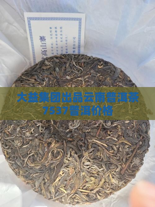 7537普洱茶