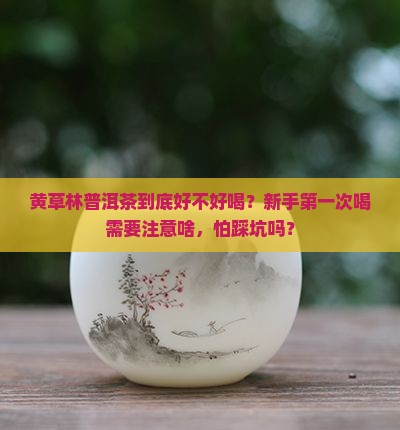 黄草林普洱茶好吗