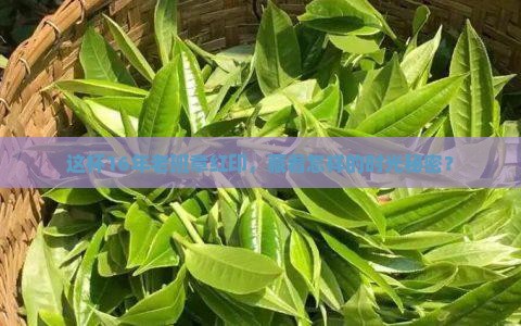 中茶16年老班章红印
