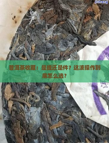 普洱茶购买藏是提还是件