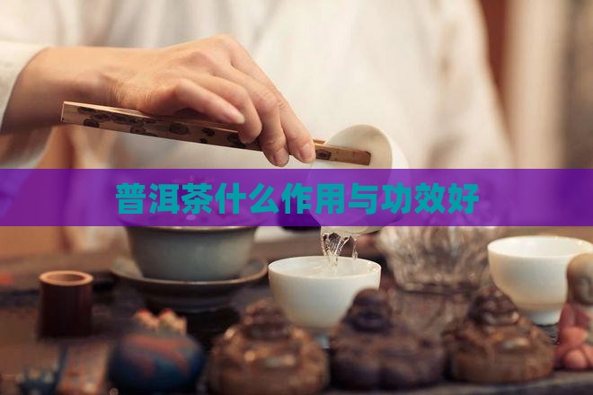 普洱茶什么作用与功效好
