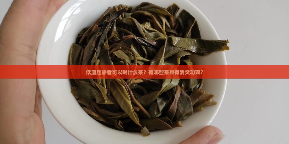 低血压可以喝什么茶消炎