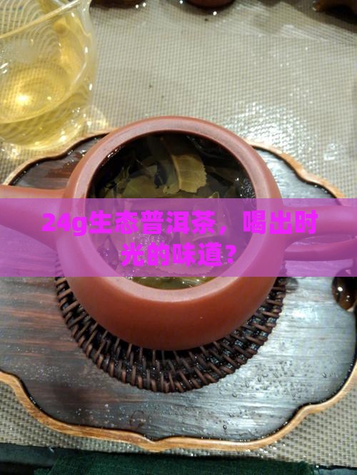 24g生态普洱茶