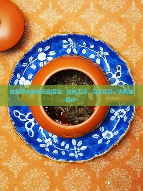 钦州靠谱的老班章招商