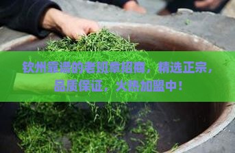 钦州靠谱的老班章招商
