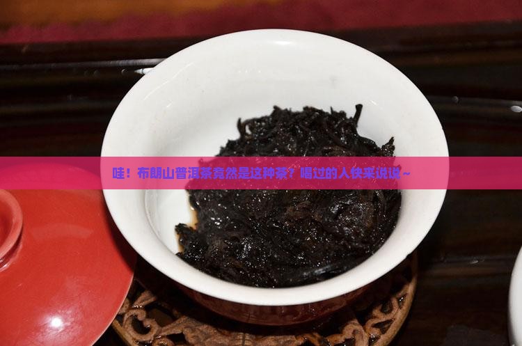 布朗山普洱茶是什么茶
