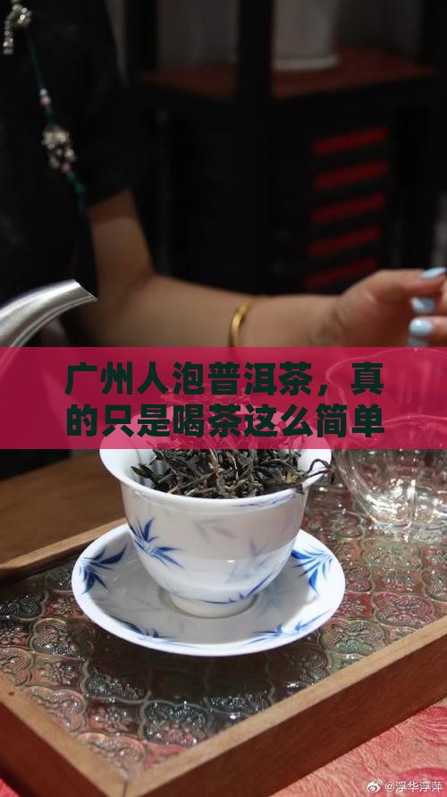 广州人泡普洱茶
