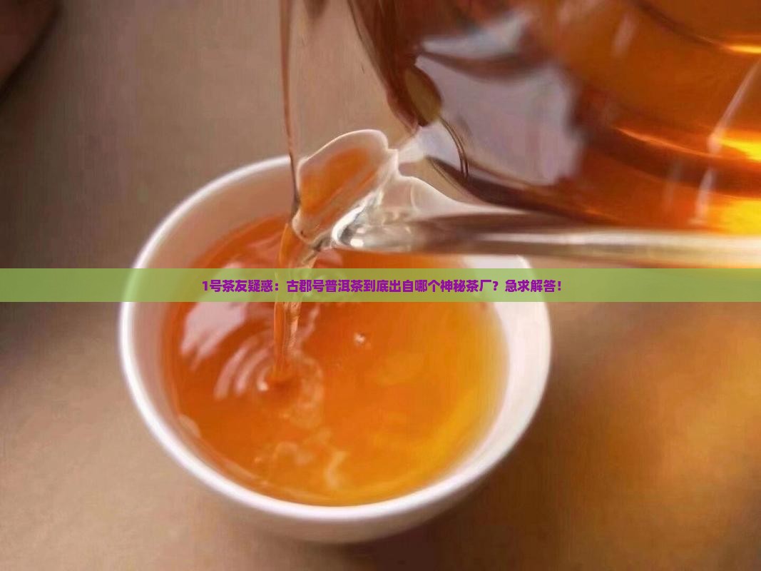 古郡号普洱茶属于哪个茶厂