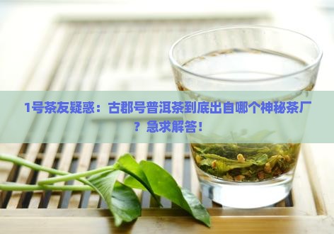 古郡号普洱茶属于哪个茶厂