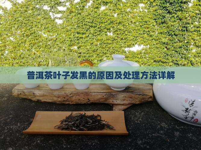 普洱茶里的叶子有点黑色