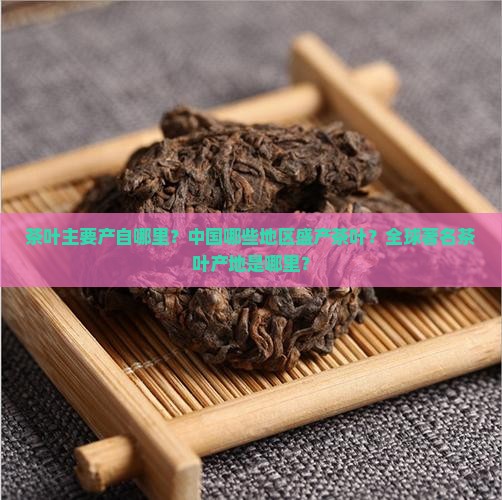 茶叶主要产自哪里